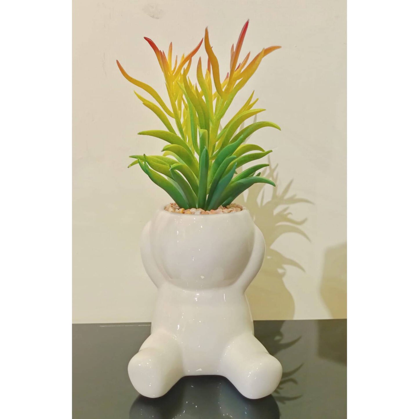 Nordic Cute Succulent Plant Simulation