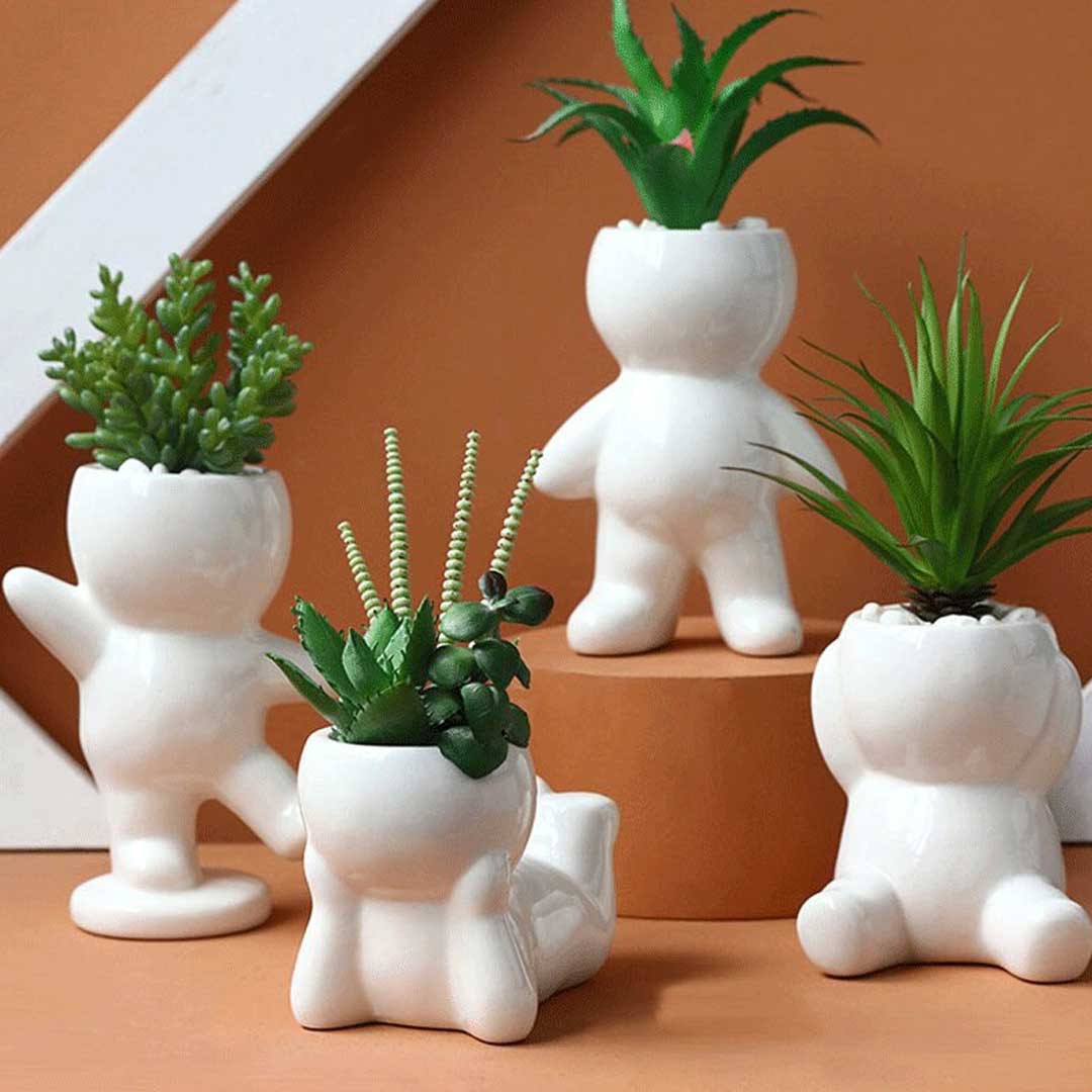 Nordic Cute Succulent Plant Simulation