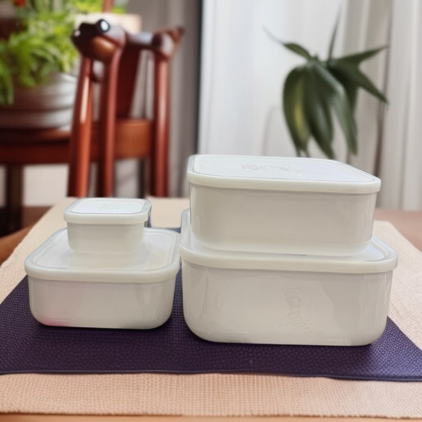 Airtight 4 Pcs Bowl Set