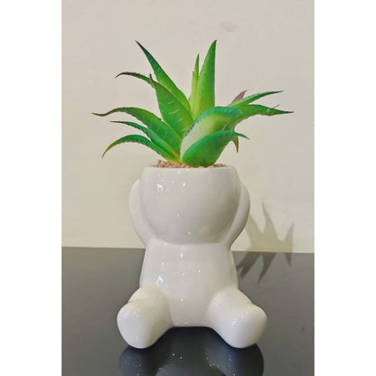 Nordic Cute Succulent Plant Simulation