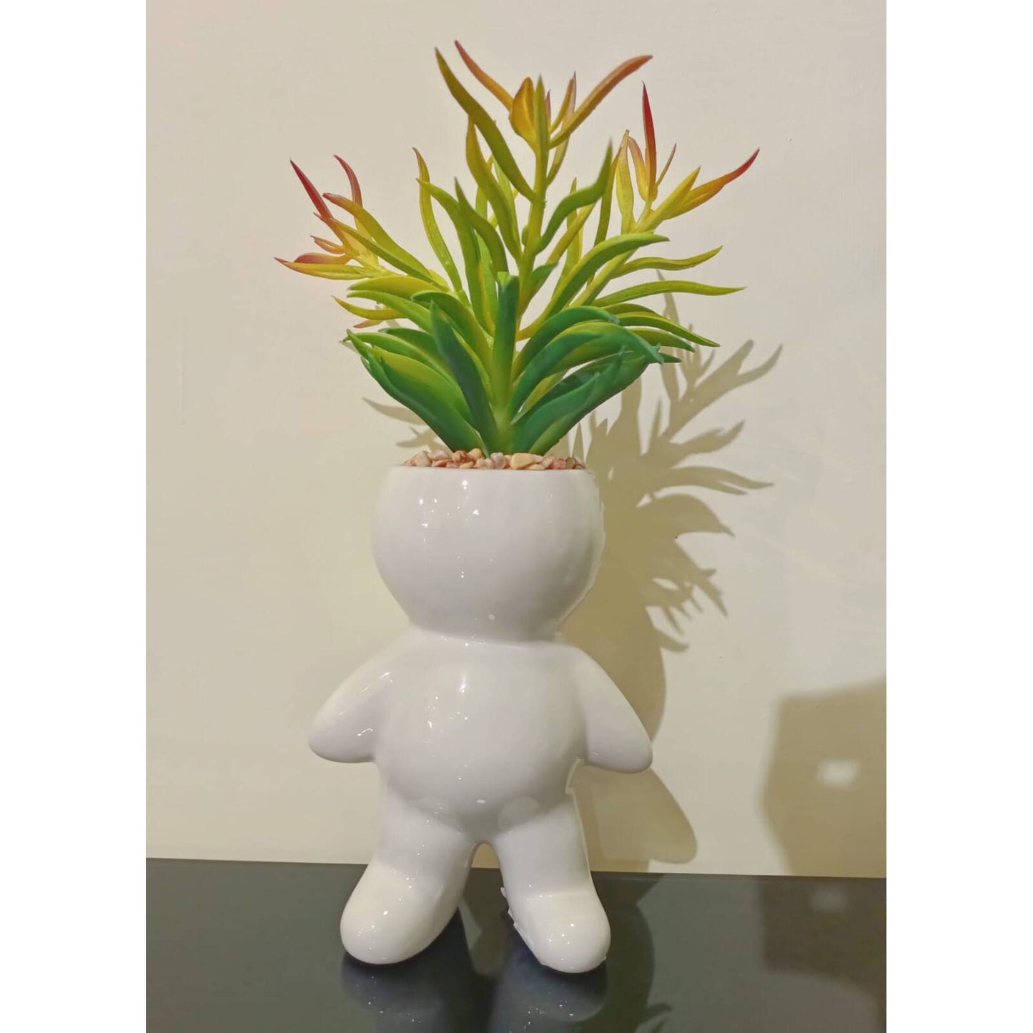 Nordic Cute Succulent Plant Simulation