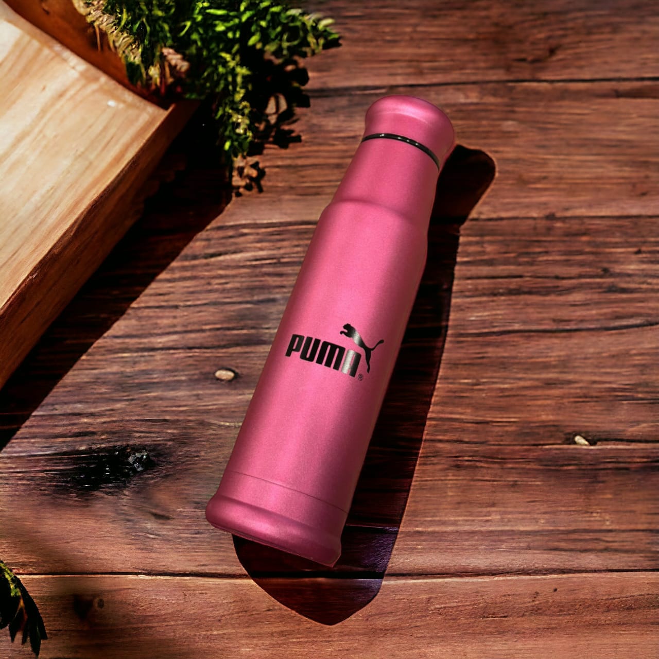 Stainless Steel Water Bottle