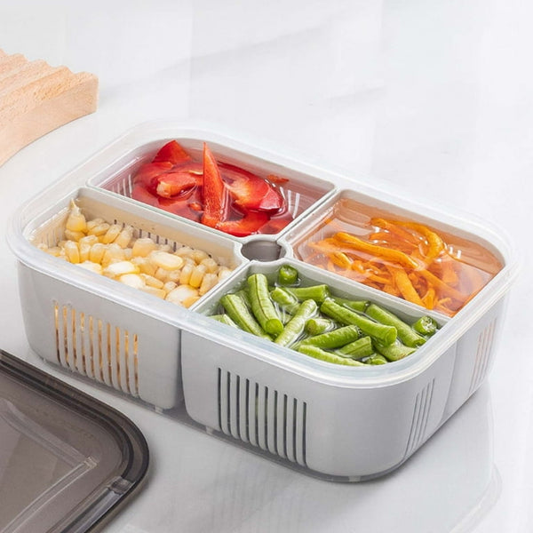 4 Compartment Multipurose Storage Box