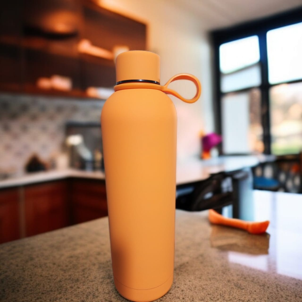Double Wall Insulated Water Bottle-D3