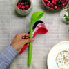 swatch