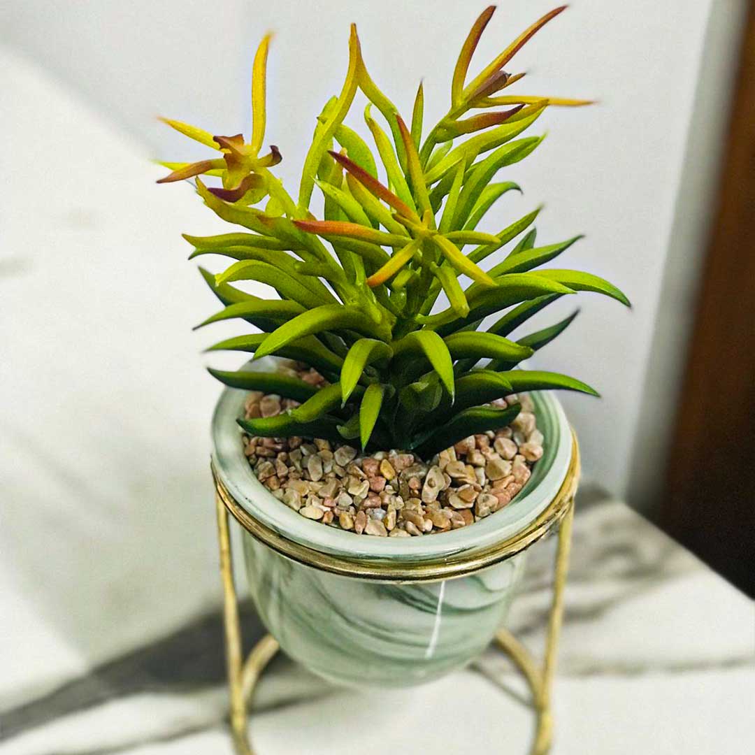 Nordic Creative Succulent Flower Pot Marble Pattern