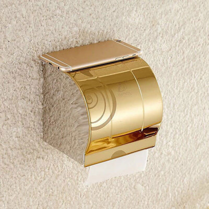 Chrome Painted Steel Toilet Paper Holder
